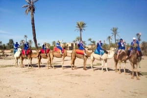 Marrakech: Ilmapallolento, berberiaamiainen ja kameliratsastus