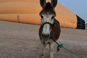 Marrakech: Balloon Flight, Berber Breakfast, and Camel Ride