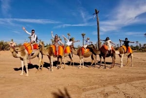 Marrakech: Balloon Flight, Berber Breakfast, and Camel Ride