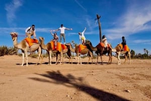 Marrakech: Balloon Flight, Berber Breakfast, and Camel Ride