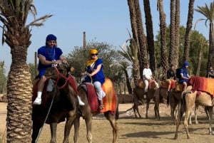 Marrakech: Balloon Flight, Berber Breakfast, and Camel Ride