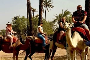 Marrakech: Balloon Flight, Berber Breakfast, and Camel Ride