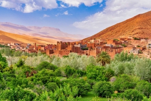 Marrakech: Berber Culture Experience & Atlas Mountains Tour