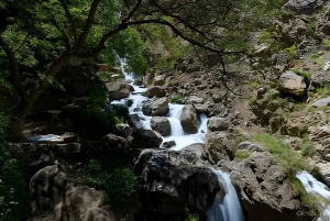 Marrakech: quad al tramonto nel deserto di Agafay con cena e spettacolo