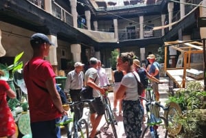 Bicycle Tour with a Local Guide