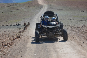 Marrakech: Buggy Drive in the Palm Groves