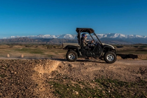 Marrakech: Buggy Drive in the Palm Groves