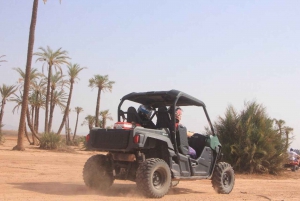 Marrakesh: buggy-ervaring in Palmeraie met hotelovername