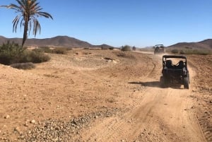 Marrakech: experiência de buggy em Palmeraie com embarque no hotel