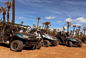 Marrakech: esperienza in buggy a Palmeraie con ritiro in hotel