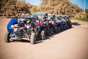 Marrakech Buggy Ride in the Palm Groves