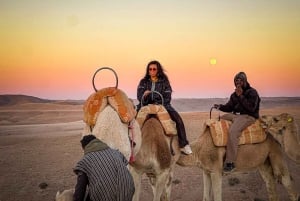 Marrakech: Agafay Desert Dinner Show, Camel Ride, 1-hr Buggy