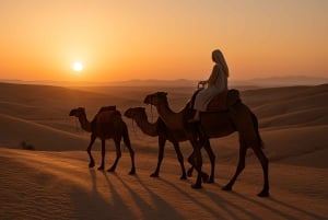 Marrakech: Kamel- och fyrhjulingstur med solnedgång, middag och show