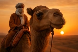 Marrakech: Kamel- och fyrhjulingstur med solnedgång, middag och show