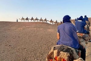 Marrakech: Kamel- och fyrhjulingstur med solnedgång, middag och show