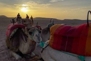 Marrakech: Kamel- och fyrhjulingstur med solnedgång, middag och show