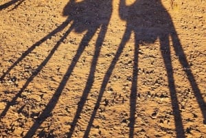 Marrakech: Kamel- och fyrhjulingstur med solnedgång, middag och show