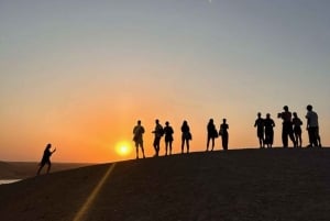 Marrakech: Kamel- och fyrhjulingstur med solnedgång, middag och show