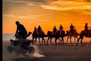 Marrakech: Agafay Desert Dinner Show, Camel Ride, 1-hr Buggy