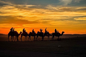 Marrakech: Agafay Desert Dinner Show, Camel Ride, 1-hr Buggy