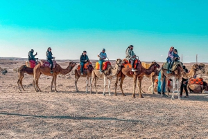 Marrakech: Agafay Desert Dinner Show, Camel Ride, 1-hr Buggy