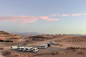Marrakech: Agafay Desert Dinner Show, Camel Ride, 1-hr Buggy