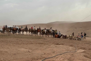 Marrakech: Camel Ride, Dinner, Pool, and Fire Show in Agafay