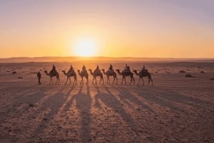 Marrakech: paseo en camello, cena, piscina y espectáculo de fuego en Agafay