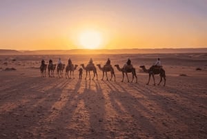 Marrakech: paseo en camello, cena, piscina y espectáculo de fuego en Agafay