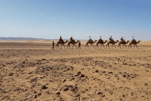 Marrakech: paseo en camello, cena, piscina y espectáculo de fuego en Agafay