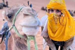 Marrakech: paseo en camello, cena, piscina y espectáculo de fuego en Agafay
