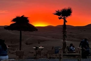 Marrakech: paseo en camello, cena, piscina y espectáculo de fuego en Agafay