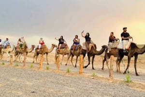 Marrakech: paseo en camello, cena, piscina y espectáculo de fuego en Agafay