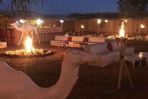 Marrakech: Camel Ride & Dinner with Sunset in Agafay Desert