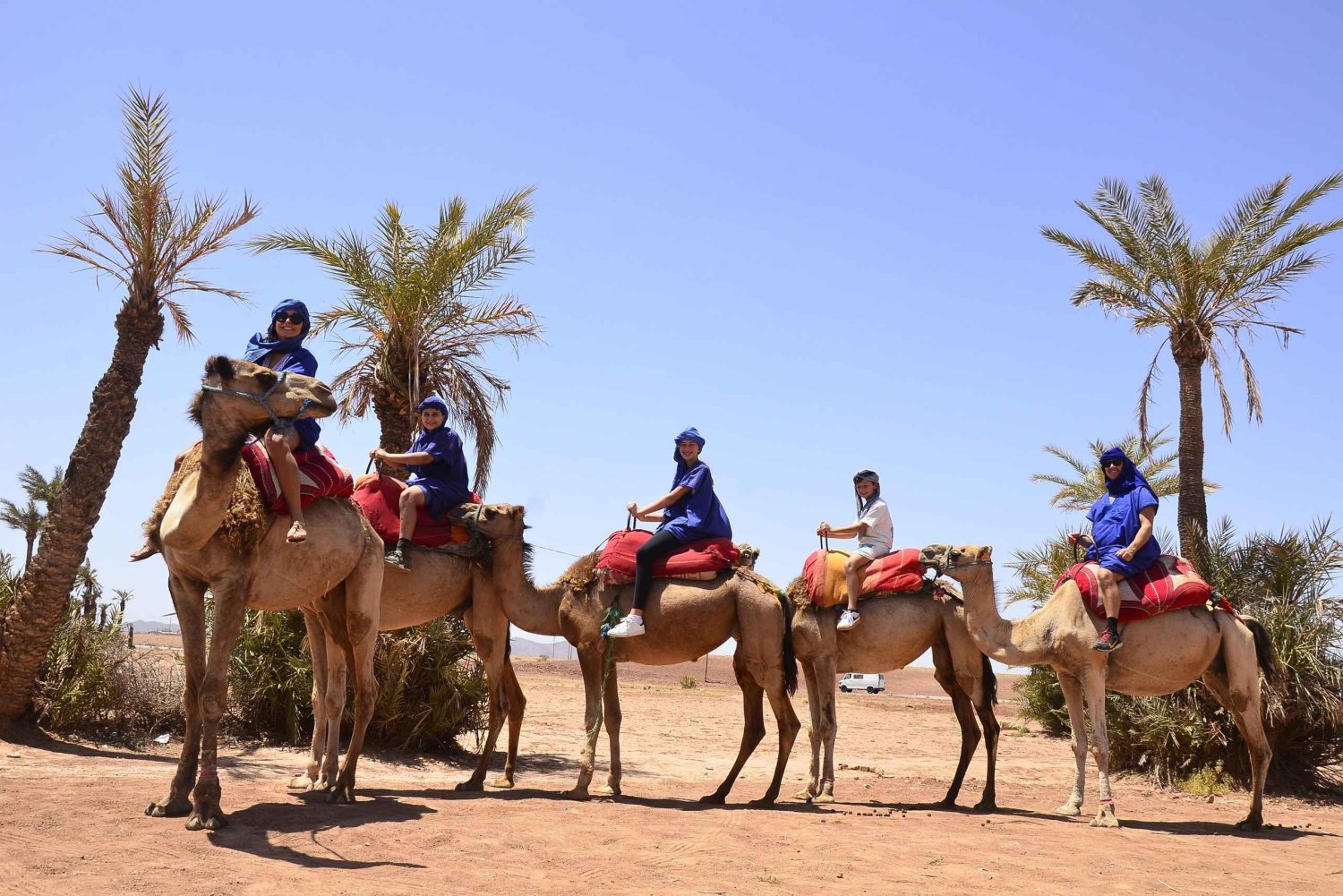 Marrakech: Camel Ride in Rehamna Desert with Moroccan Tea