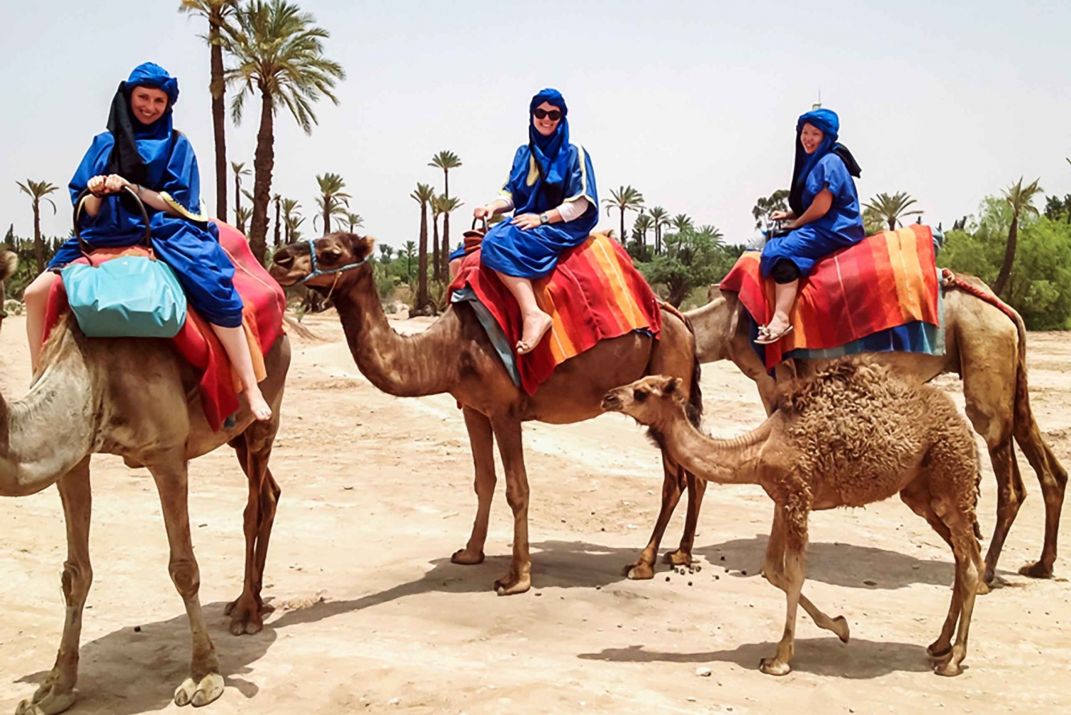 Marrakesch: Kamelritt in der Oasis Palmeraie