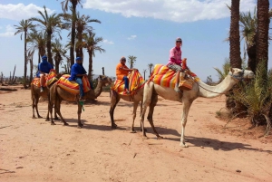 Marrakech Camel Ride in the Oasis Palmeraie