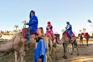 Marrakesz: przejażdżka na wielbłądzie w oazie Palmeraie