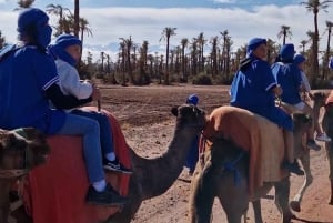 Marrakech: paseo en camello por el oasis Palmeraie