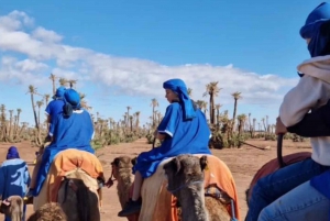 Marrakech: Tre timmars privat kamelridning i Oasis Palmeraie