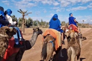Marrakesh: kamelenrit door de palmoase Palmeraie