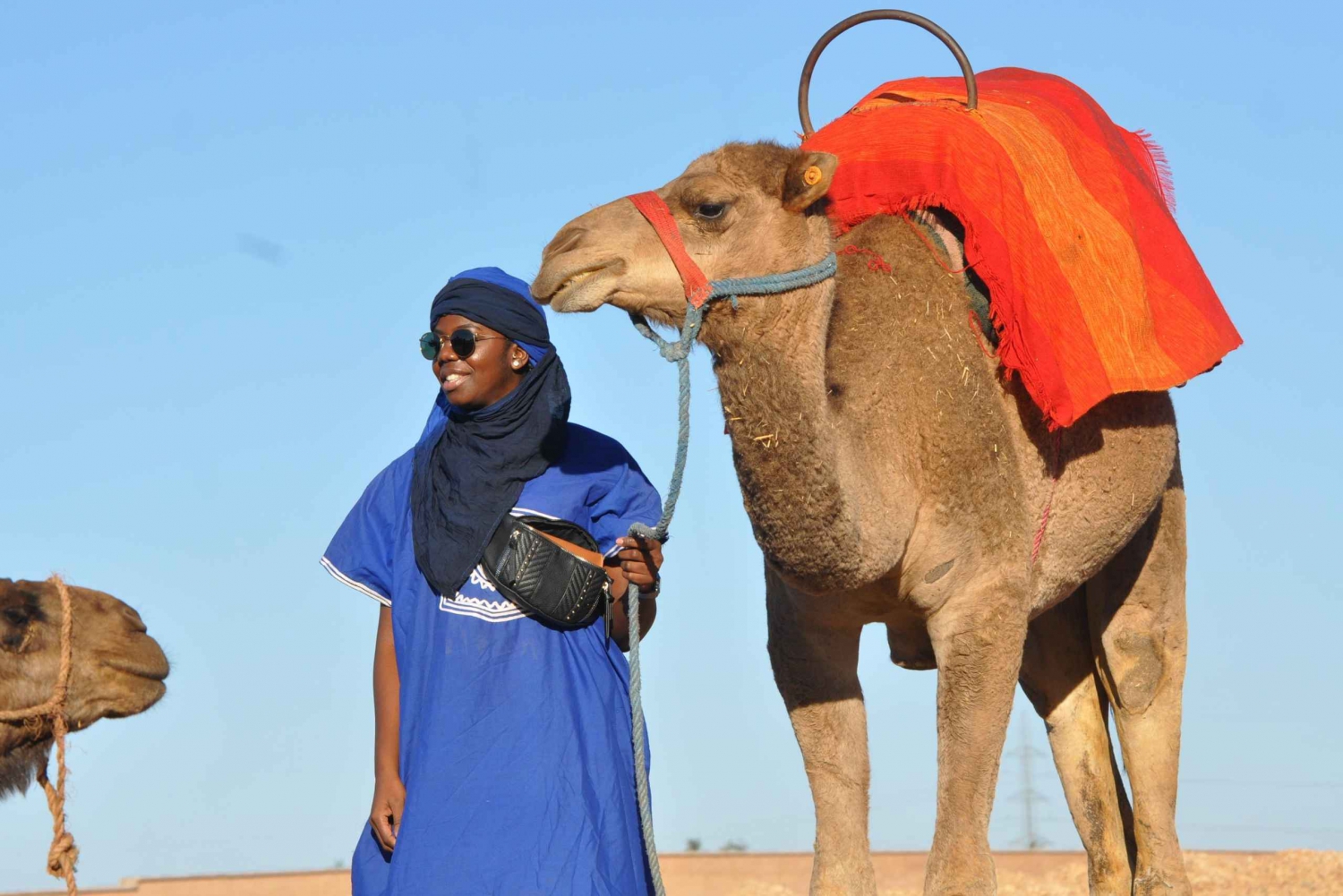 Marrakech : Balade 1h à dos de Chameau à la palmeraie