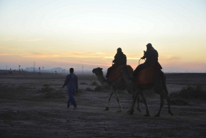 Marrakech : Camel ride in the palm grove with transport