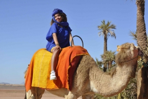 Marrakech : Camel ride in the palm grove with transport