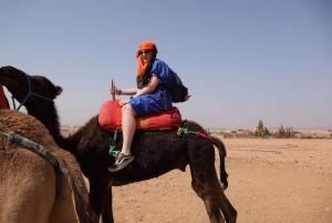 Marrakech : Promenade à dos de chameau dans la palmeraie