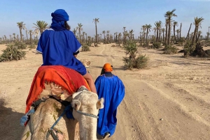 Marrakech kameltur i palmelunden
