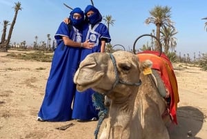 Marrakech camel ride in the palm grove
