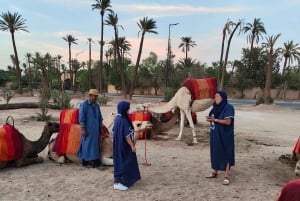 Marrakesh: kameelrit in het palmenbos