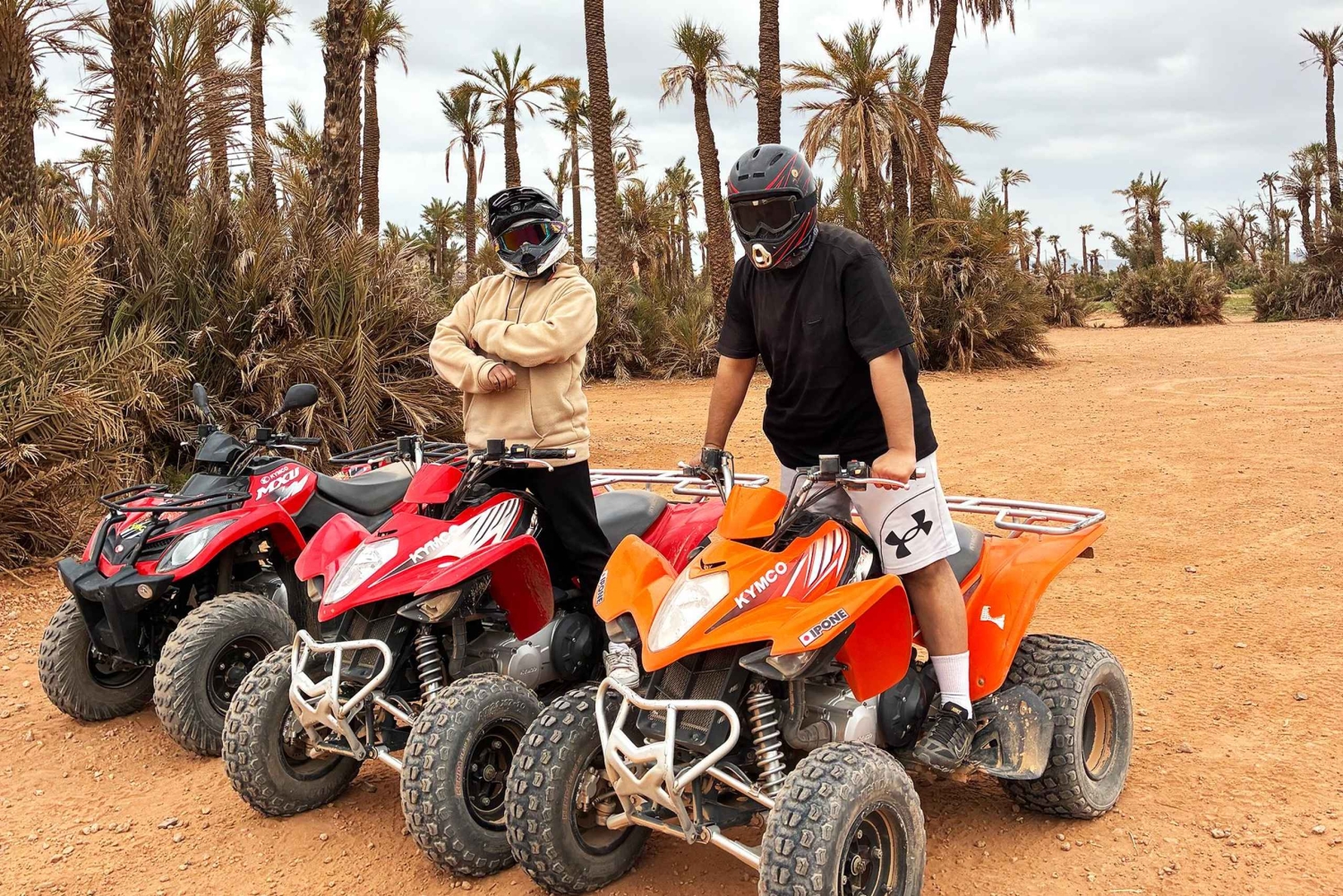 Marrakech : Kameliratsastus, Quad Bike Palmeraien alueella ja kuljetus