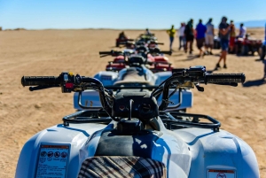 Marrakech : Kameliratsastus, Quad Bike Palmeraien alueella ja kuljetus